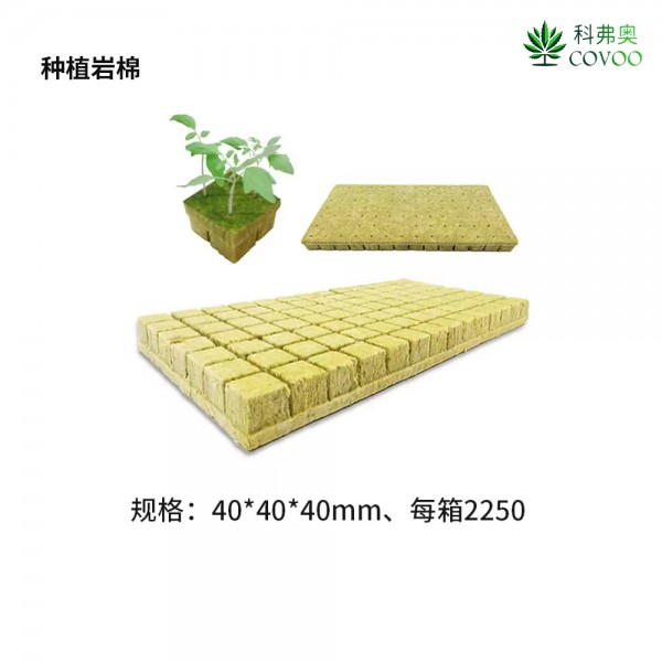 Planting rock wool